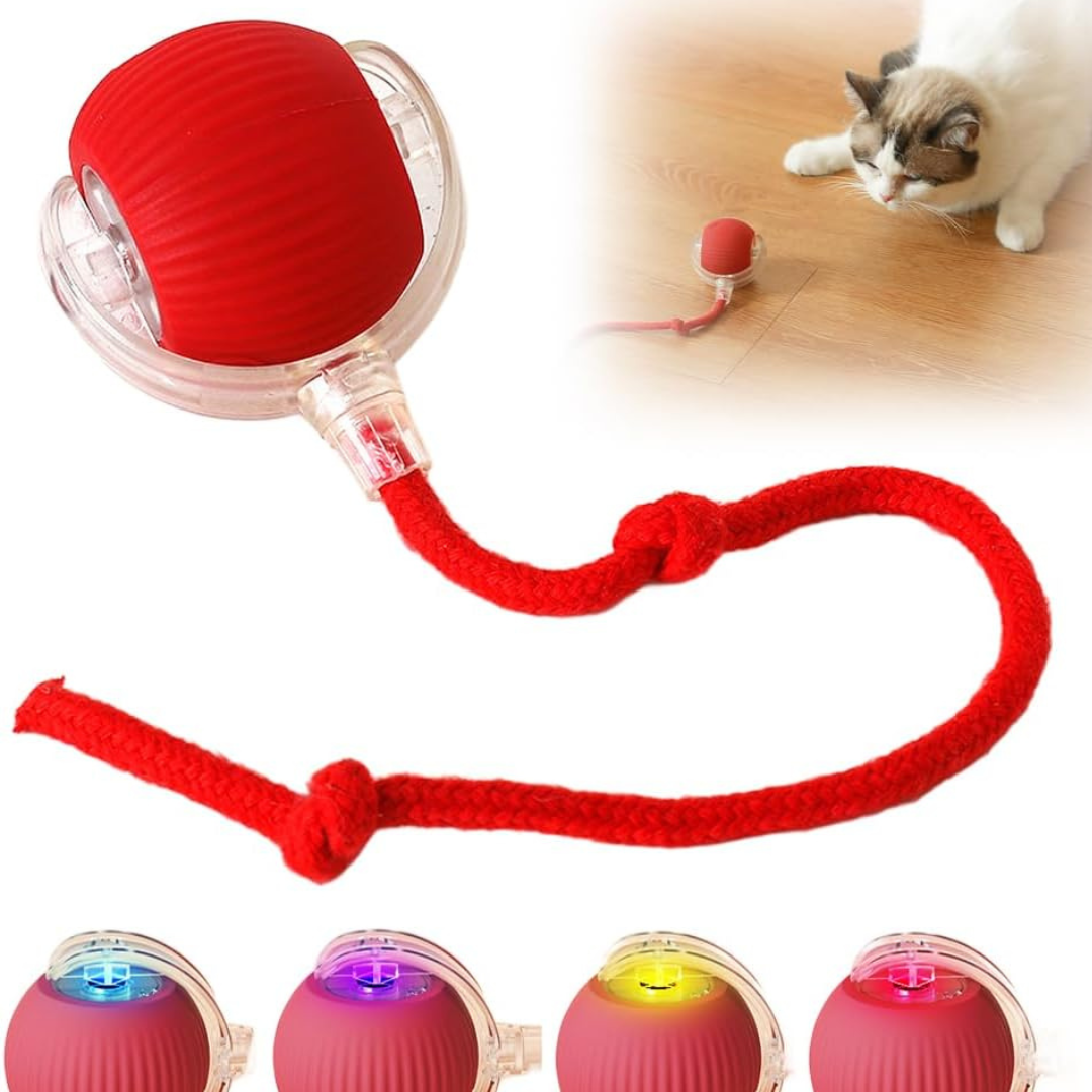 Pelota CatRoll P02