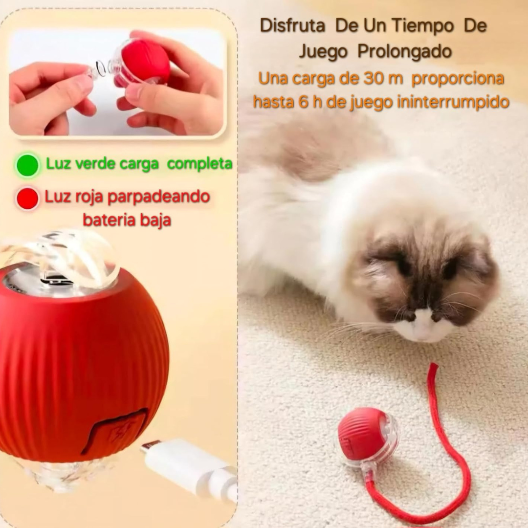 Pelota CatRoll P02